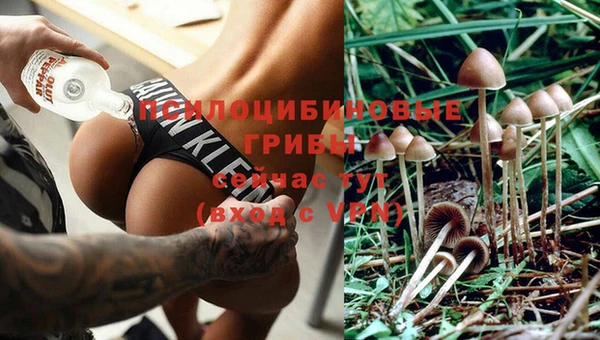 метадон Алексеевка
