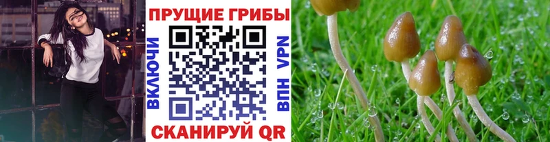 где купить наркоту  Алупка  Псилоцибиновые грибы ЛСД 