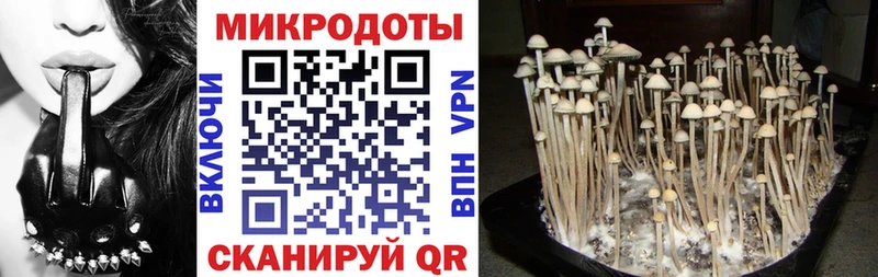 Галлюциногенные грибы GOLDEN TEACHER Алупка